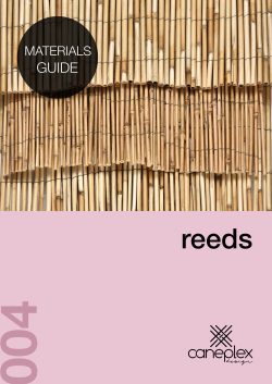 004-caneplex-materials-guide-reeds