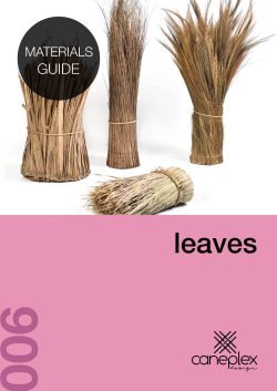 006-caneplex-materials-guide-leaves