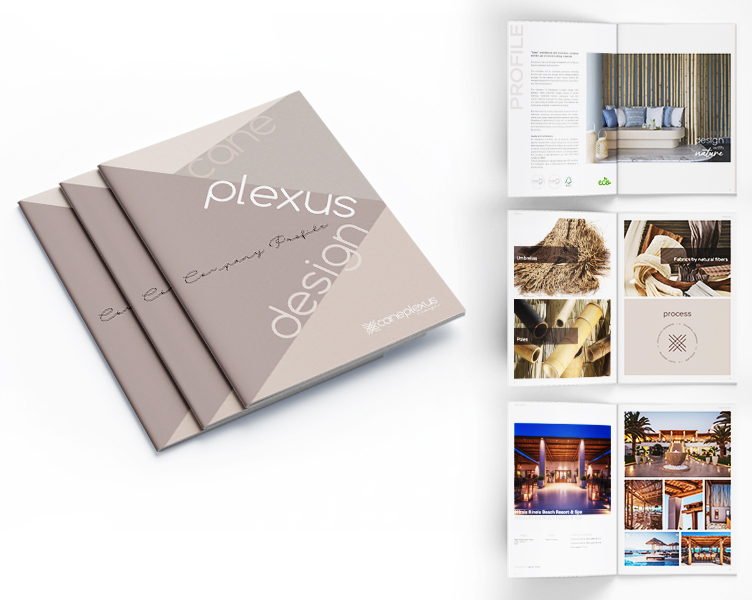 caneplexus company profile 2024 new