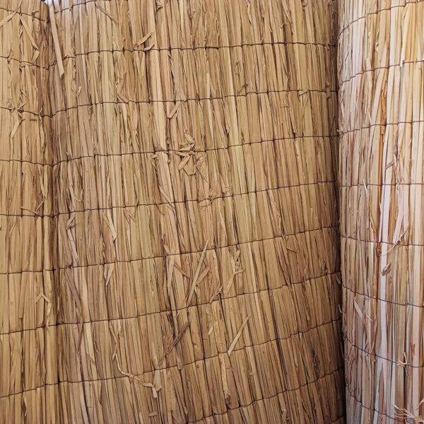 banana pressed 2b 600x600 1