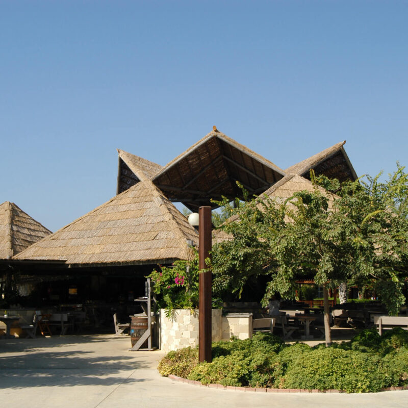 caneplex applications bamboo branches