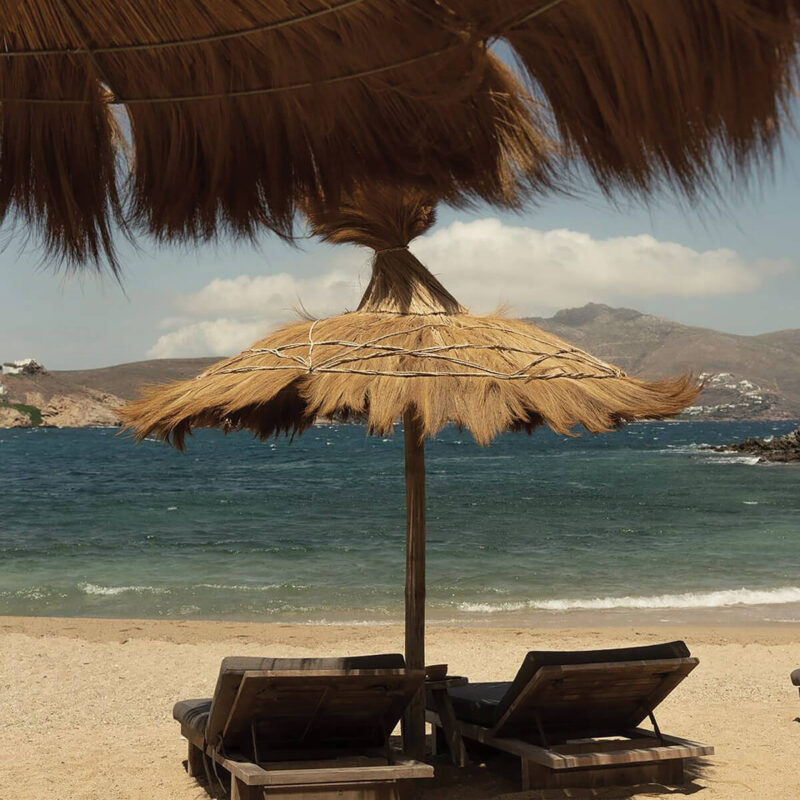 caneplex applications glagah umbrella