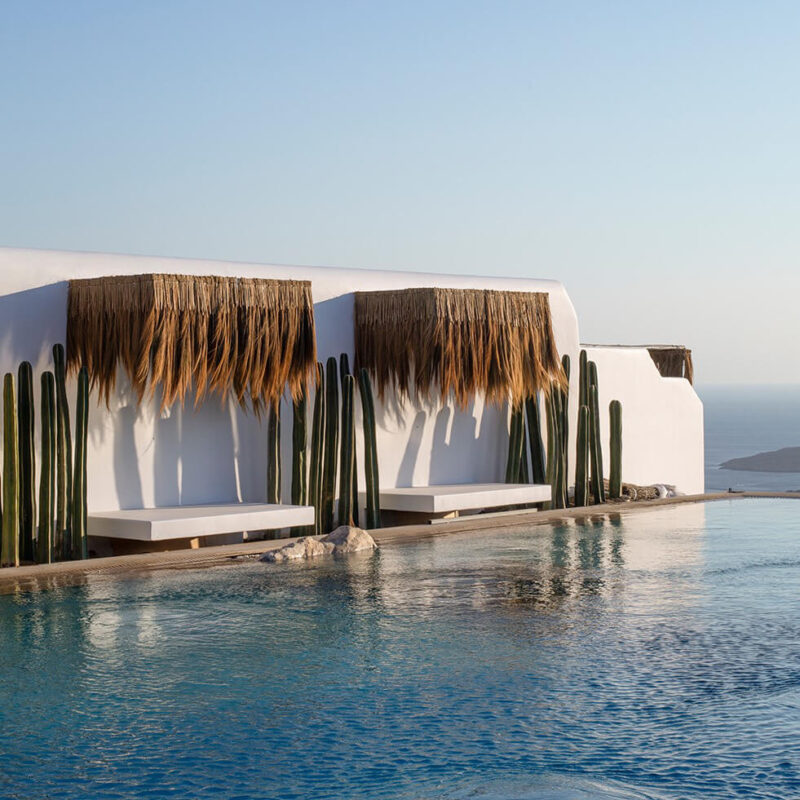 caneplex applications leaves glagah