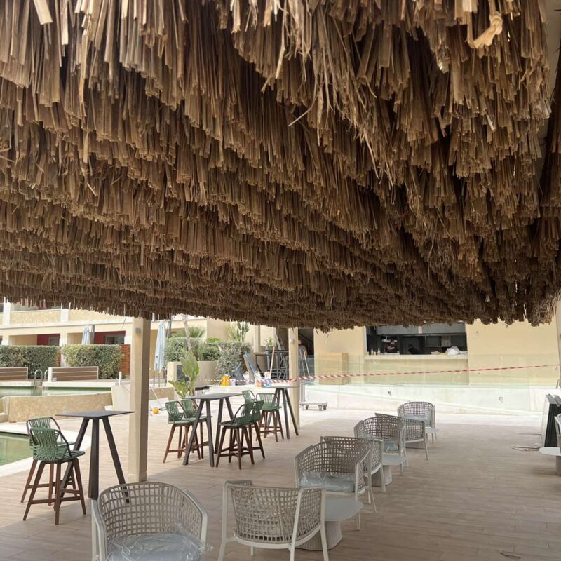 caneplex applications leaves makuti