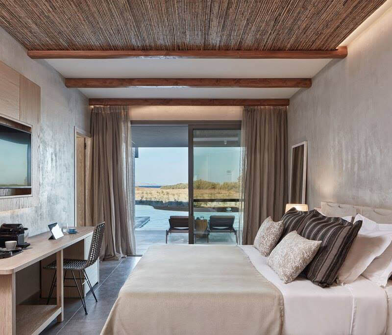 caneplex applications reed fern 6 10mm