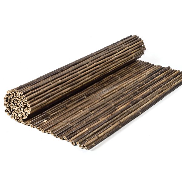 Mahogany Bamboo 20-25 mm