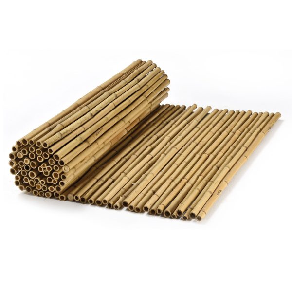 caneplex bamboo natural 16 22mm scaled 600x600 1