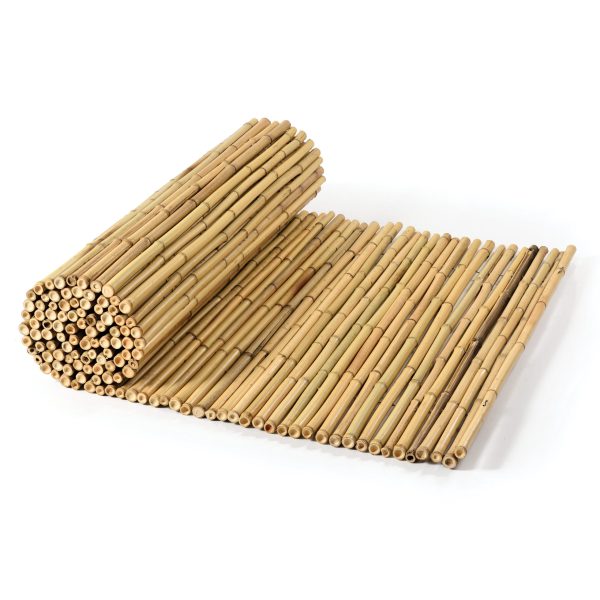caneplex bamboo natural 20 24mm scaled 600x600 1