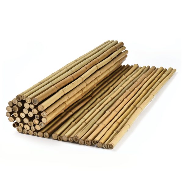 caneplex bamboo natural 24 28mm scaled 600x600 1