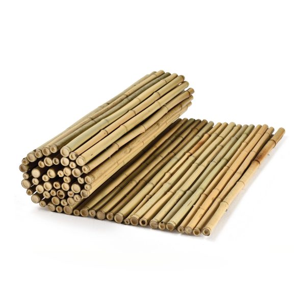 caneplex bamboo natural 30 35mm scaled 600x600 1