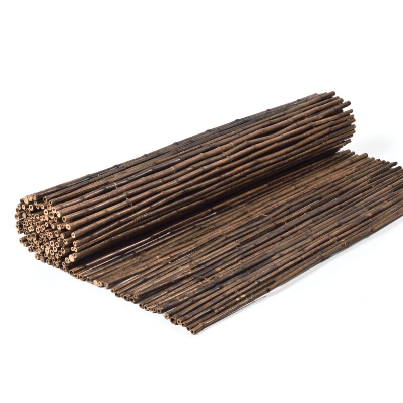 caneplex bamboo nigra 14 18mm scaled 1