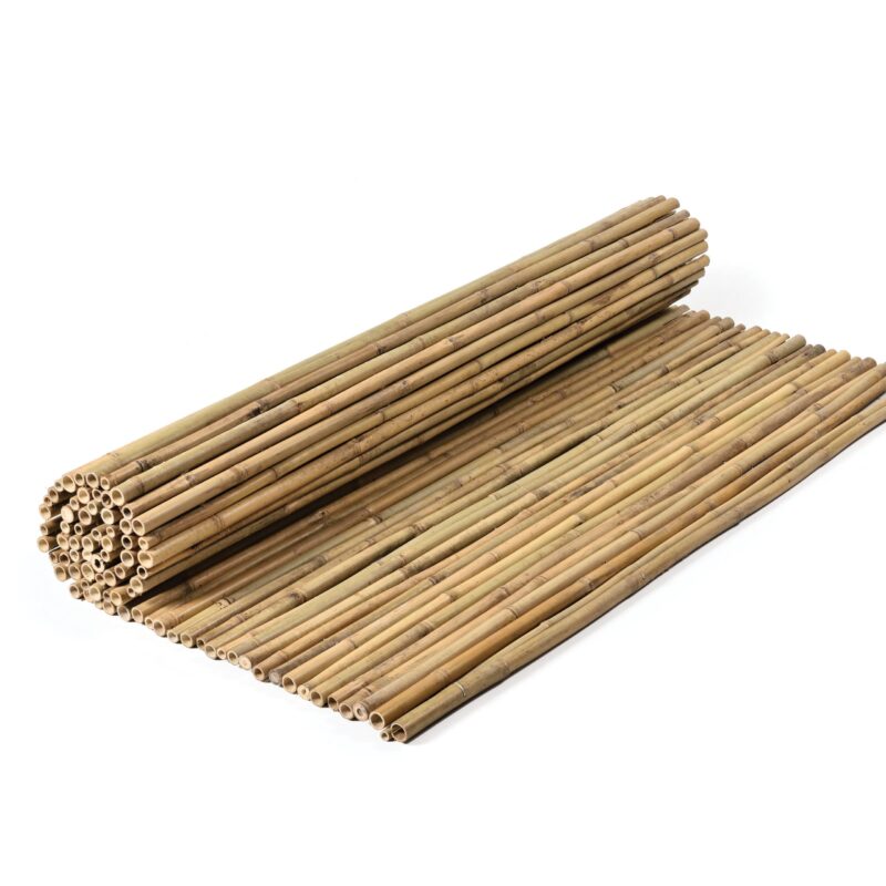 caneplex bamboo tii 24 28mm scaled 1