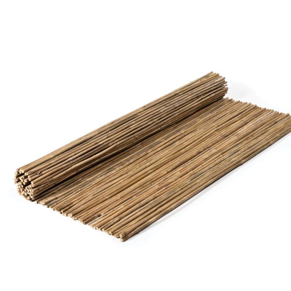 caneplex bamboo tonkin 12 18mm scaled 600x600 1
