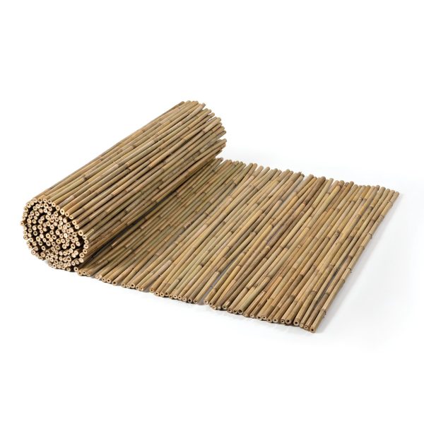 caneplex bamboo tonkin 18 22mm scaled 600x600 1