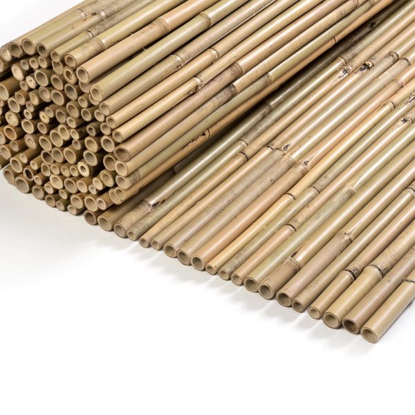 caneplex bamboo tonkin 24 28 600x600 1