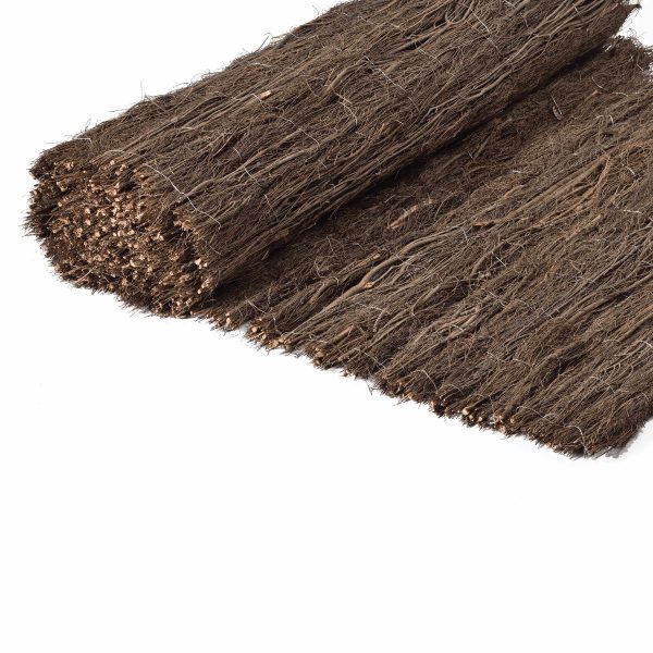 caneplex branches reiki 600x600 1