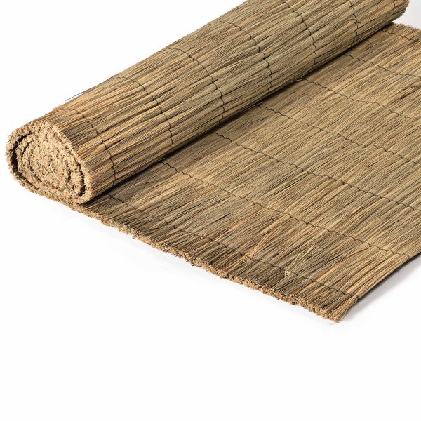 caneplex branches thach 600x600 1