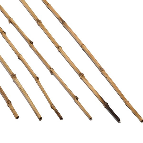 caneplex design indonesian bamboo 10 14mm pole 600x600 1