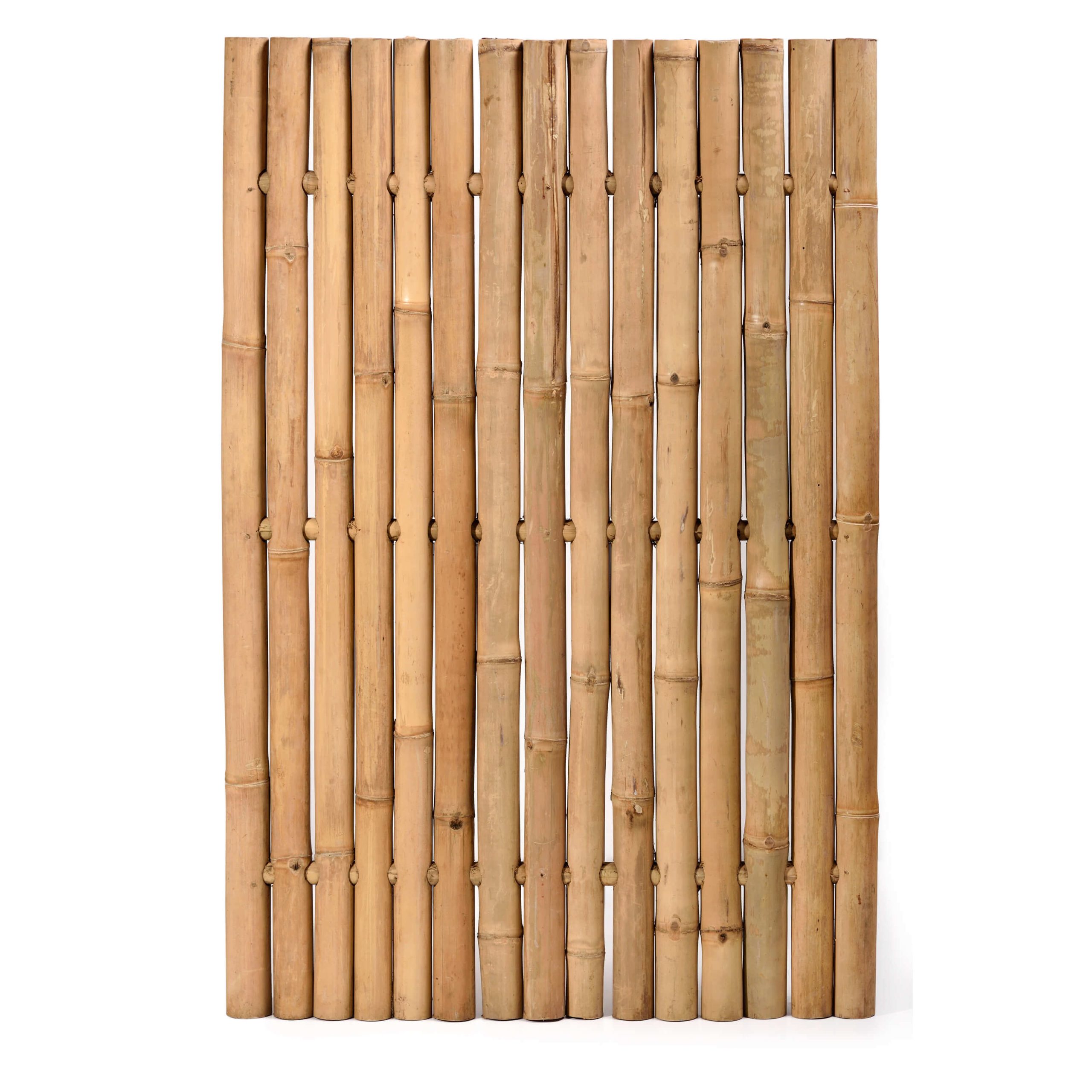 caneplex design panel bamboo B06 scaled 23