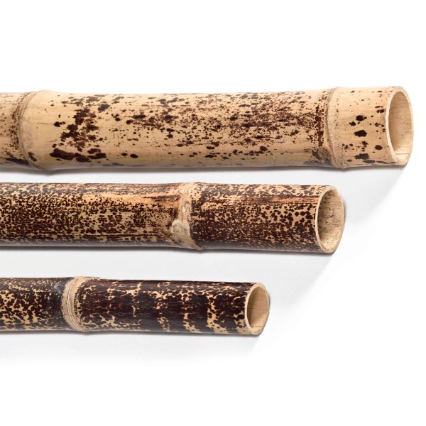 caneplex design poles tiger 600x600 1