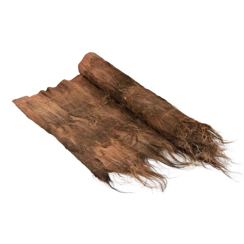 caneplex leaves cocopalm scaled 1