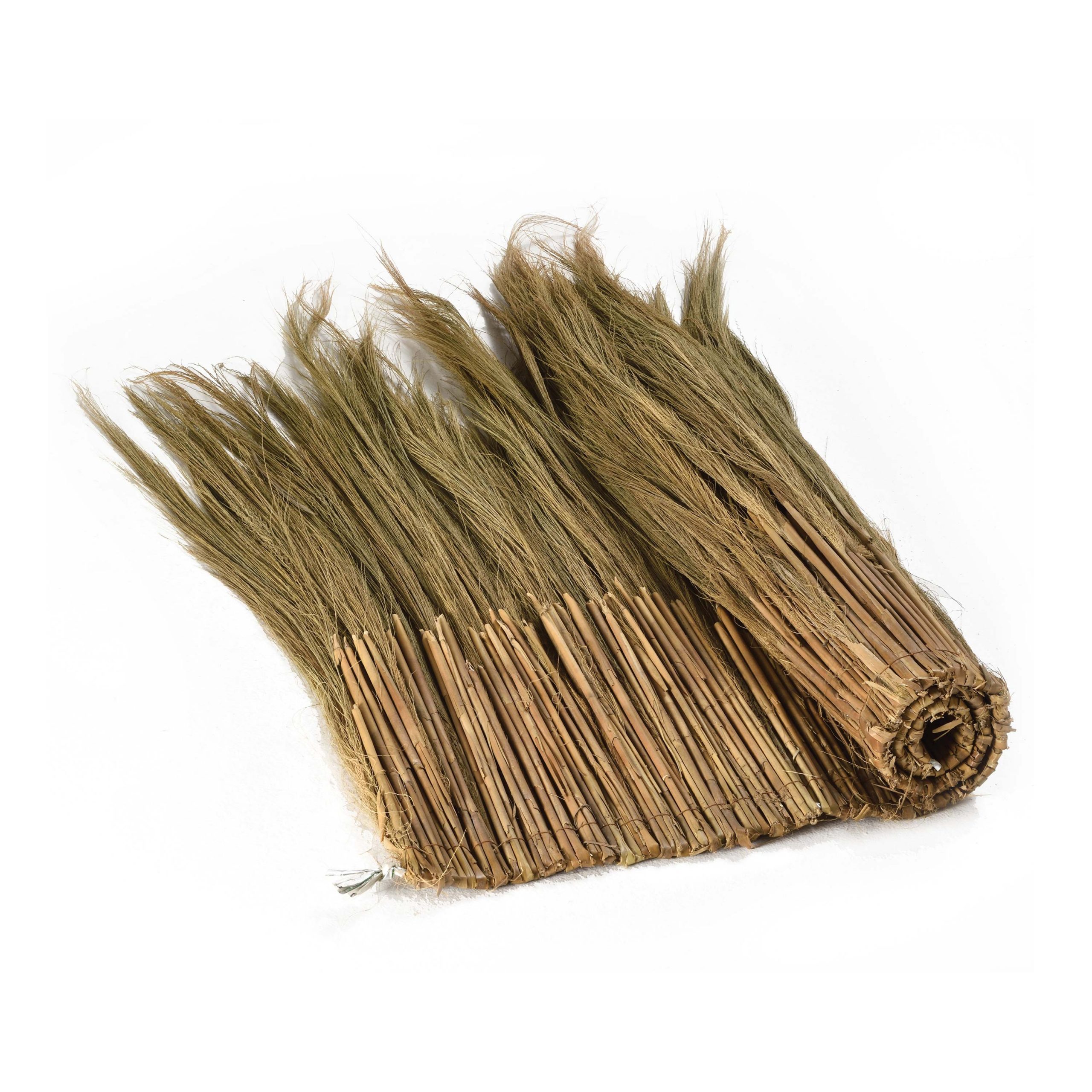 caneplex leaves glagah scaled 1