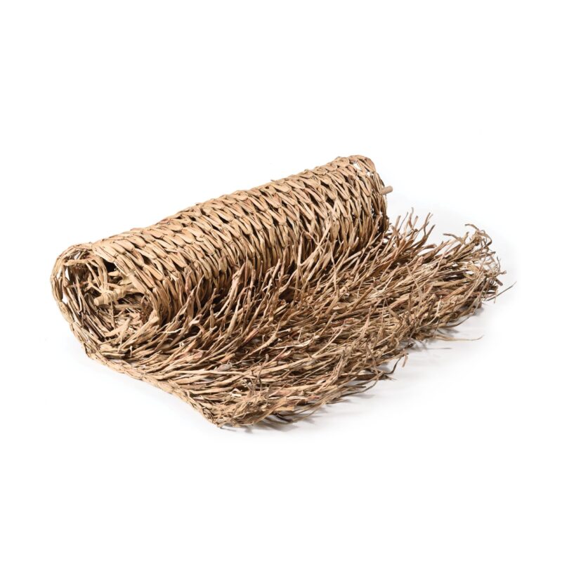 caneplex leaves leafpalm hydrohyacinth scaled 1