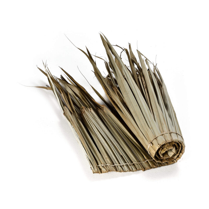 caneplex leaves makuti indonesia