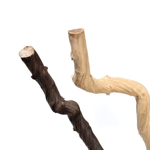 caneplex poles dragon 600x600 1