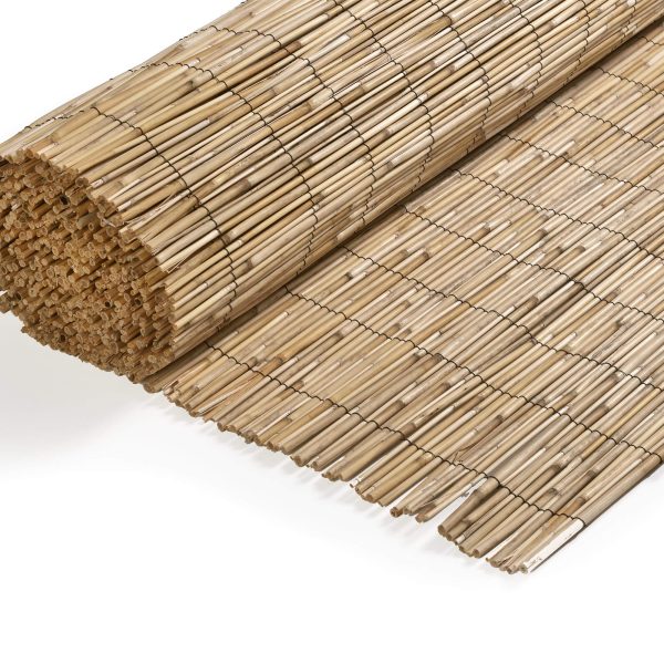caneplex reeds reed cane 600x600 1