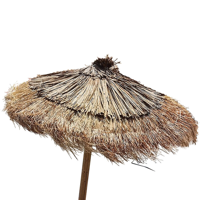 caneplex umbrellas alag makuti