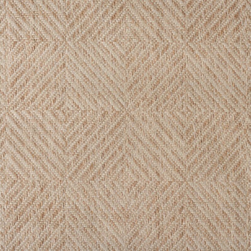 caneplex wallpapers W02 scaled 1