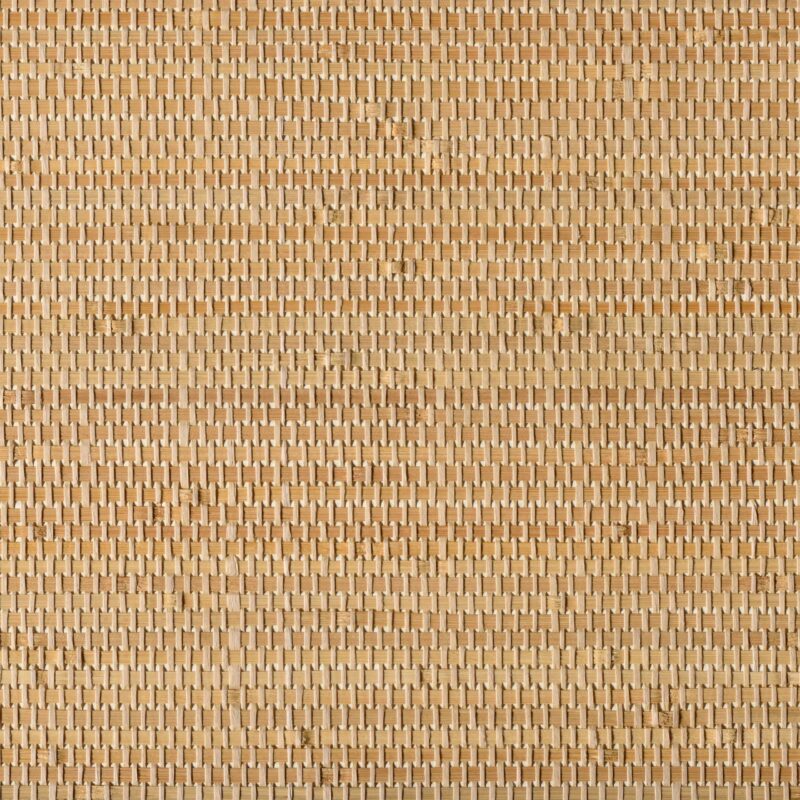 caneplex wallpapers W11 scaled 1