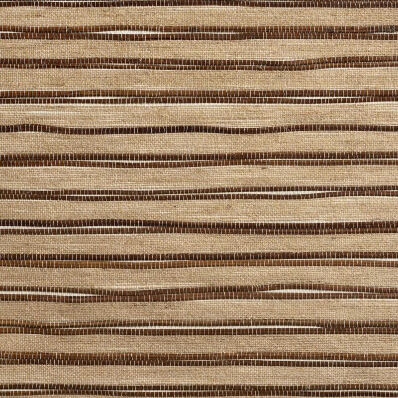 caneplex wallpapers W21