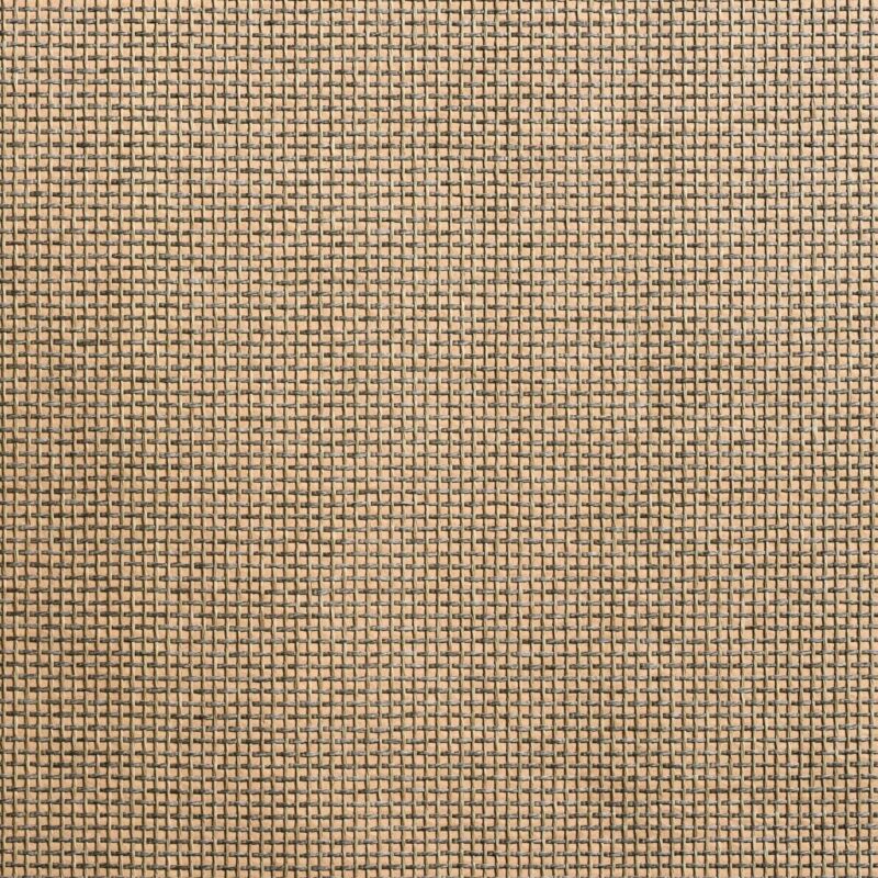 caneplex wallpapers W22