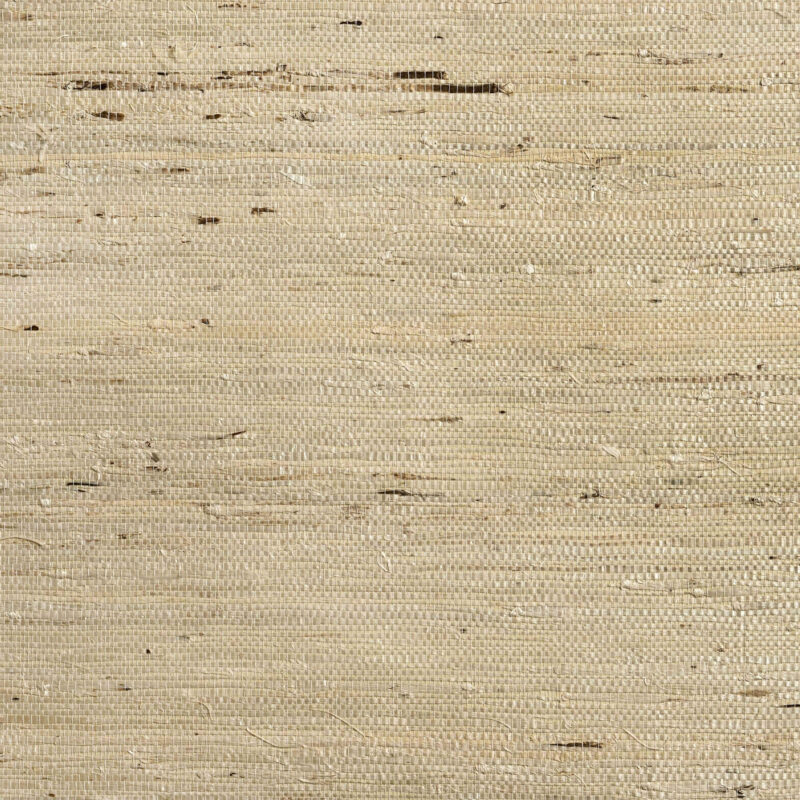 caneplex wallpapers W23