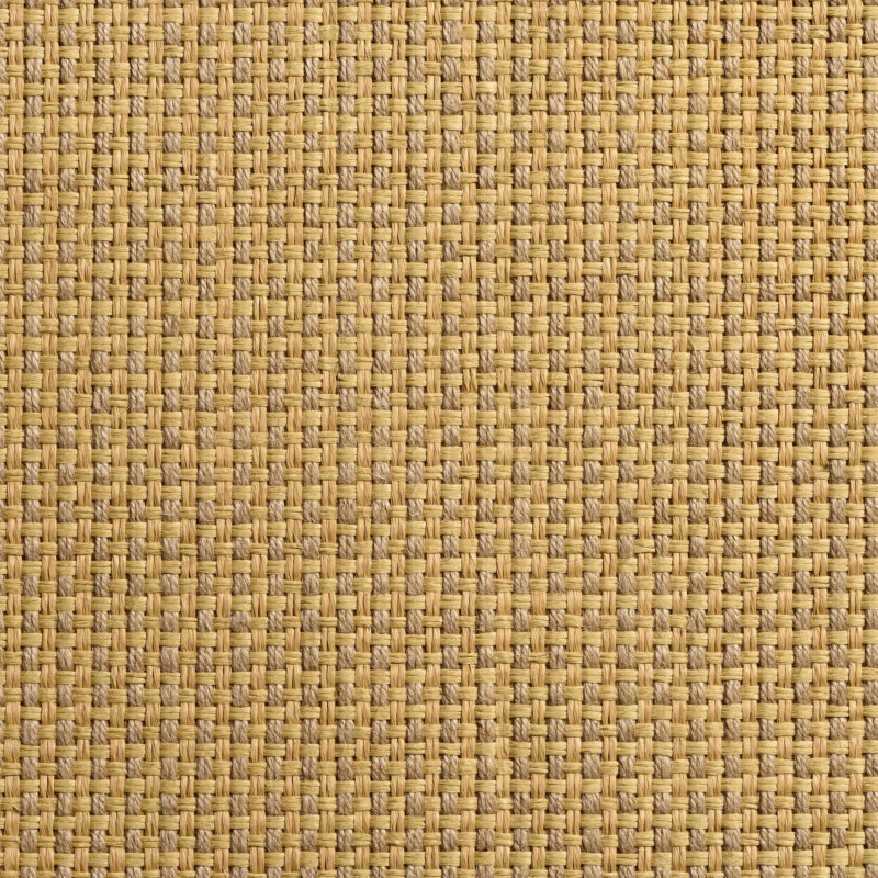 caneplex wallpapers w10 1