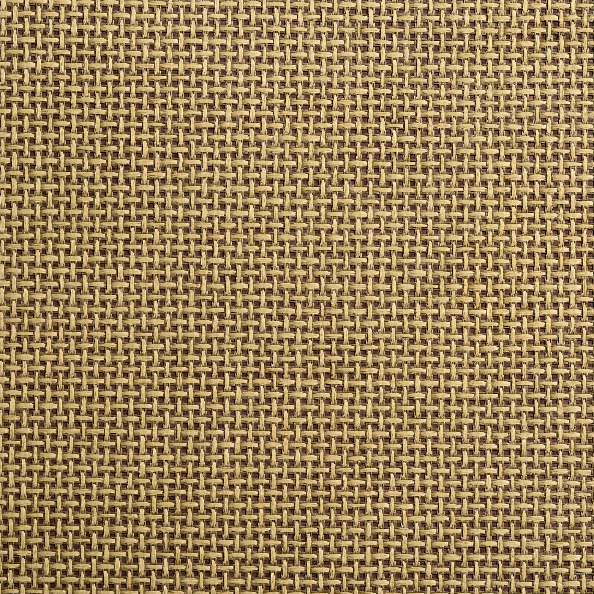 caneplex wallpapers w12 1 1