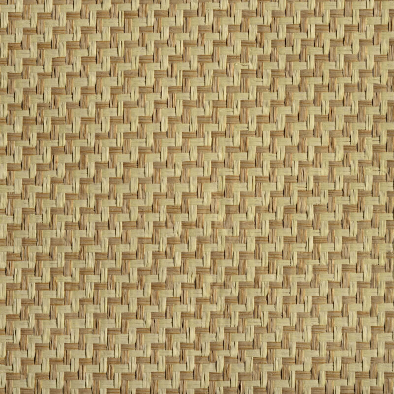 caneplex wallpapers w3