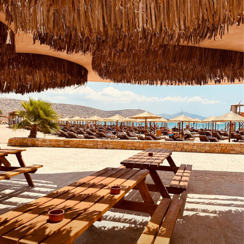 caneplexus applications leaves makuti ceiling