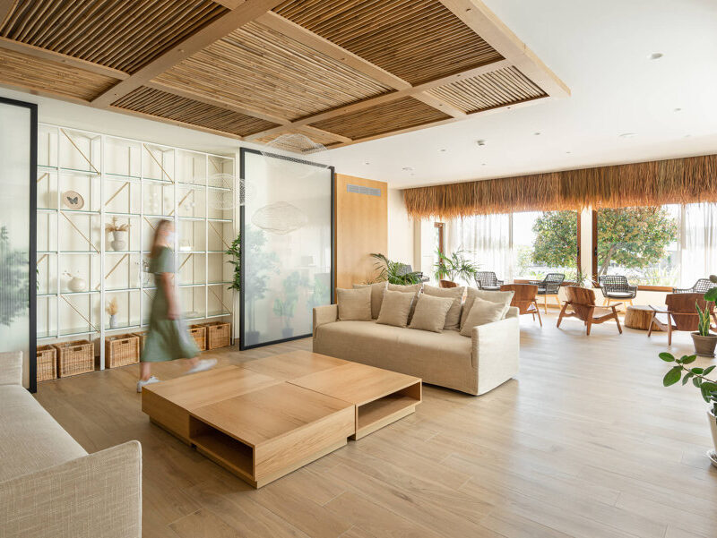 caneplexus applications poles bamboo tonkin leaves alag