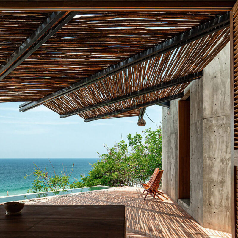 caneplexus applications willow peeled 18 24mm