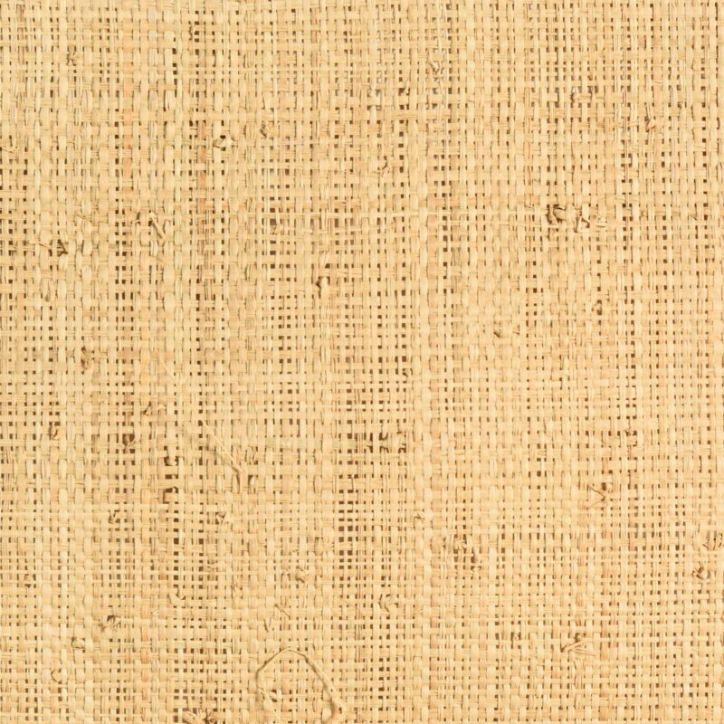 caneplexus fabric BF36