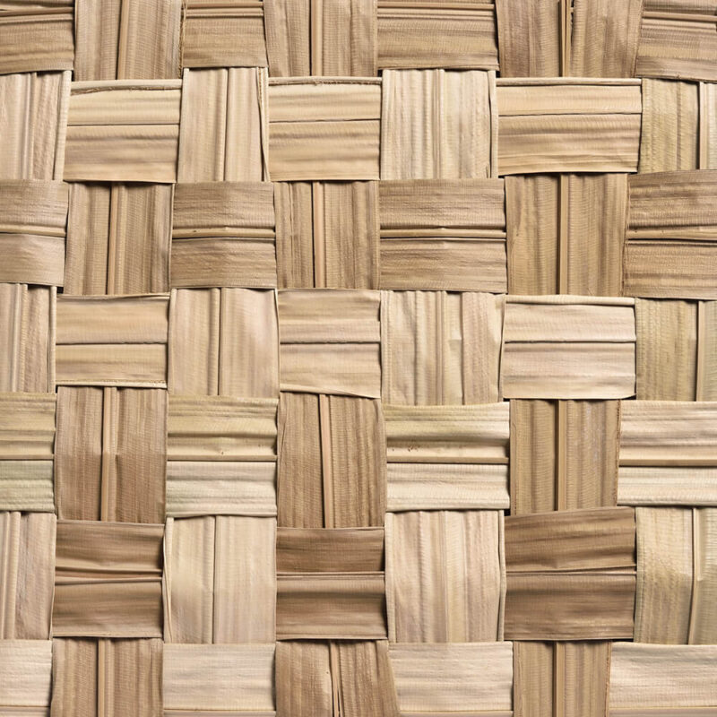 caneplexus-mats-M101