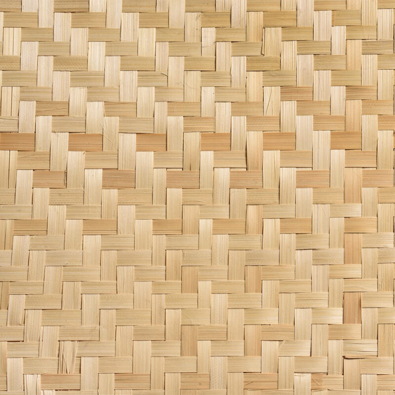 caneplexus-mats-M117