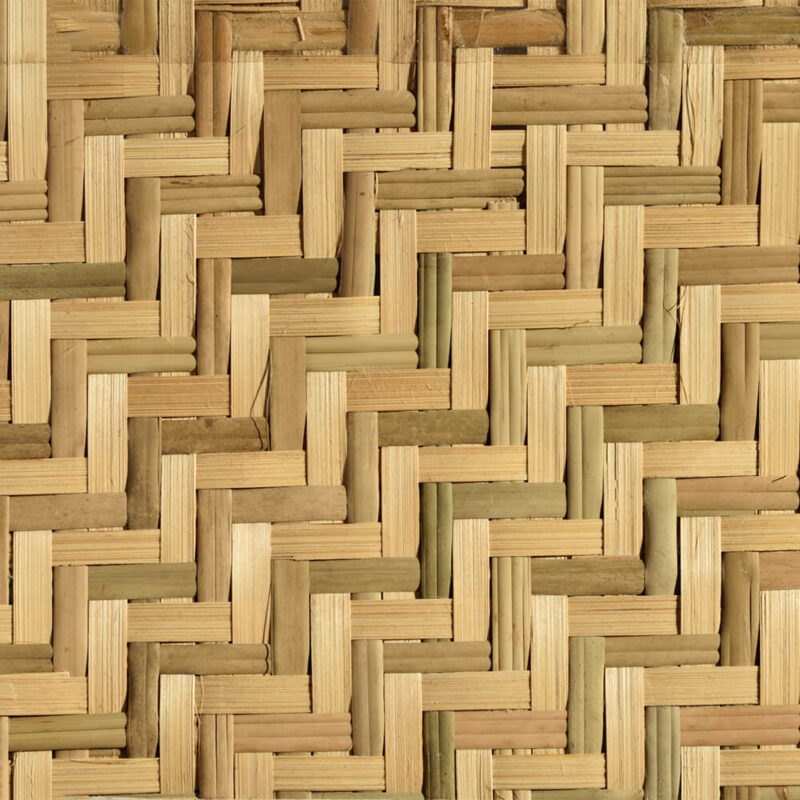 caneplexus-mats-M120