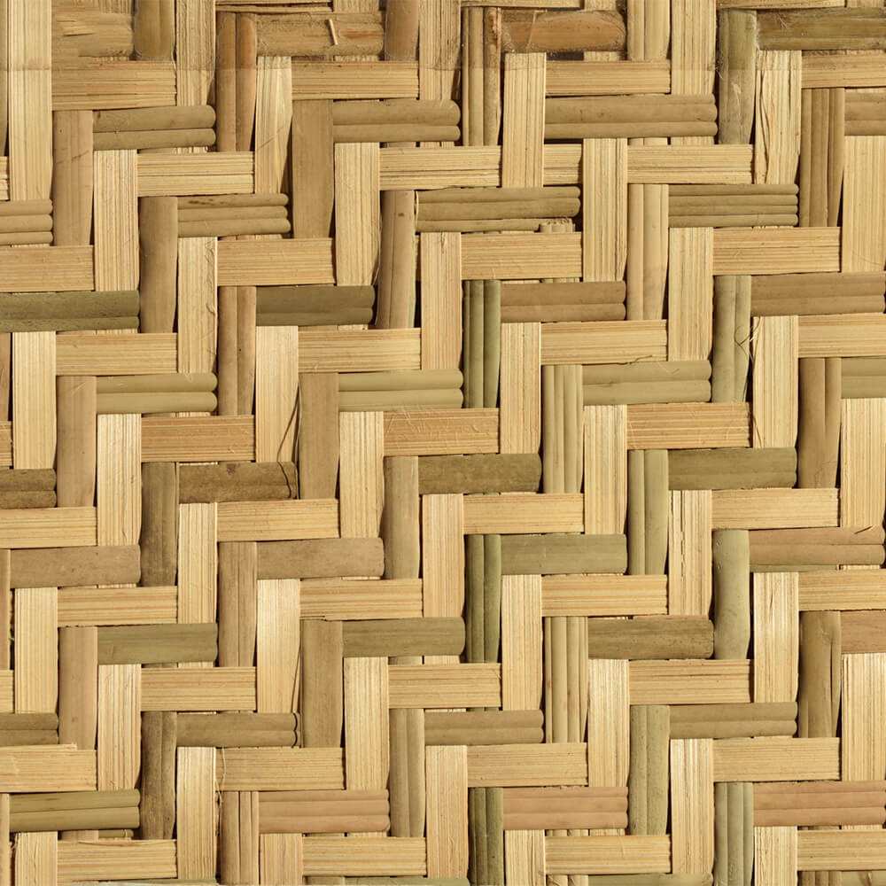 caneplexus-mats-M120