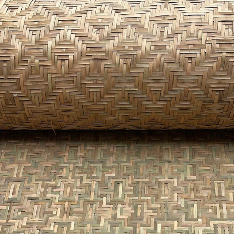 caneplexus-mats-M124_