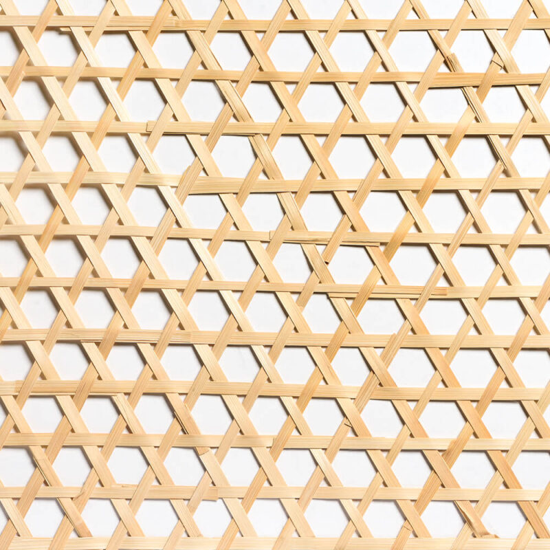 caneplexus-mats-M126