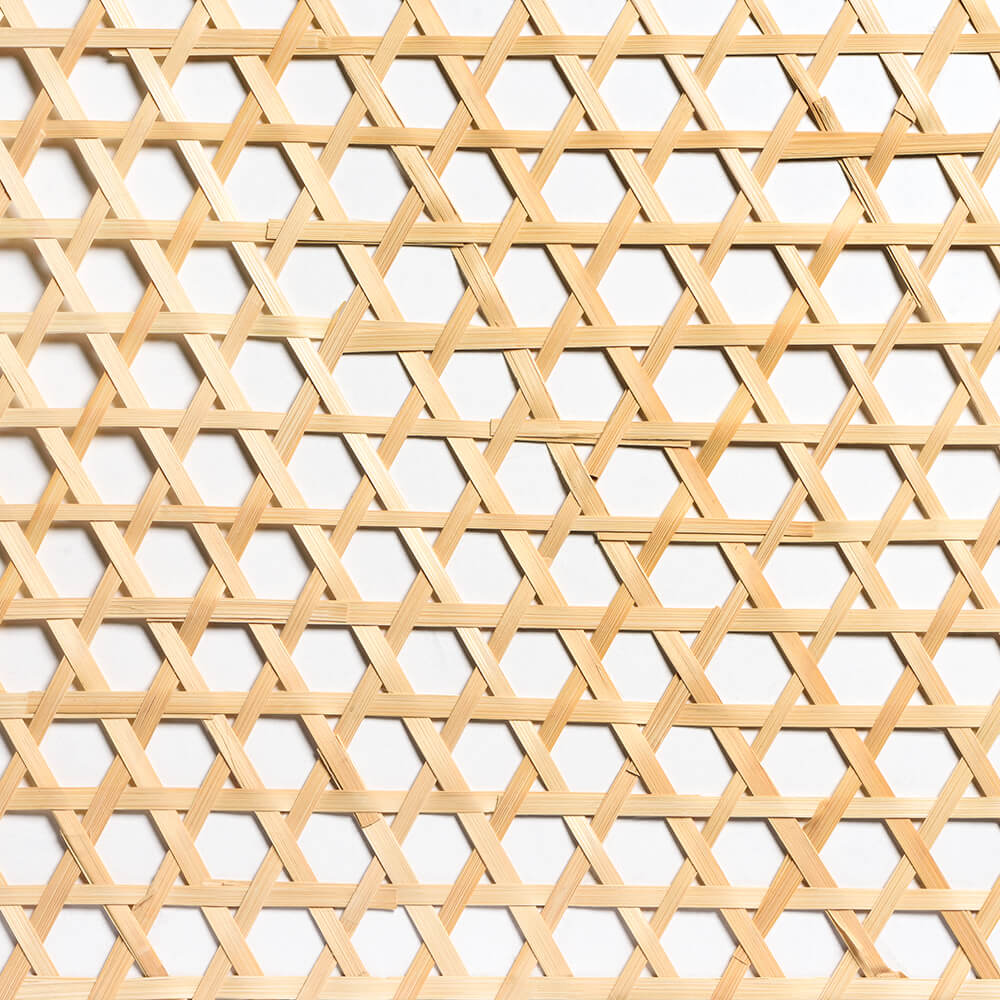 caneplexus-mats-M126